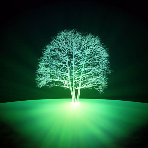 Crowdfunding Site ‘Kickstarter’ Rakes in Profits From Irresponsible